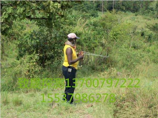 1554805969998110.jpg 1519602994889169.jpg